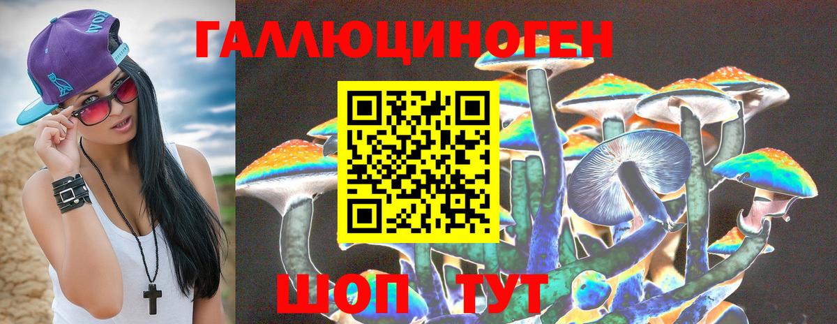 Галлюциногенные грибы Psilocybine cubensis  Вход с VPN  Сокол 